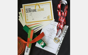 Gala et remise des ceintures